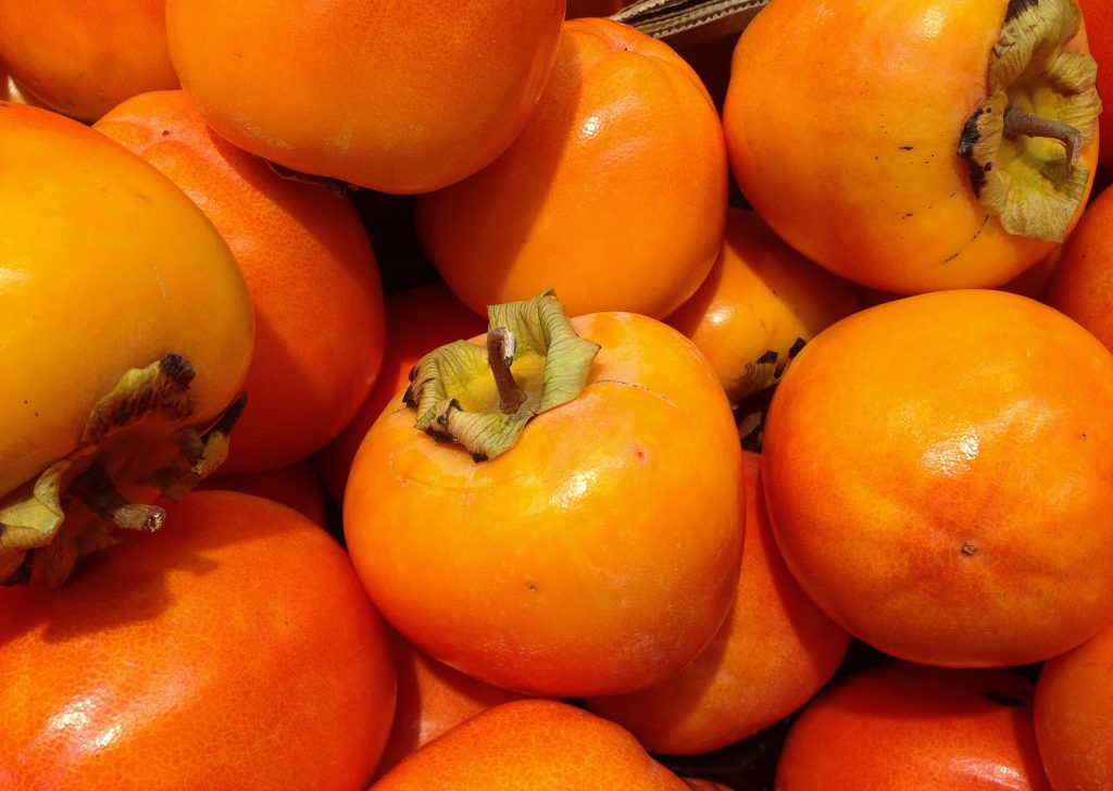 Kaki Vagnilia